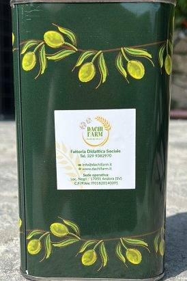Olio extravergine di oliva taggiasca 1 lt