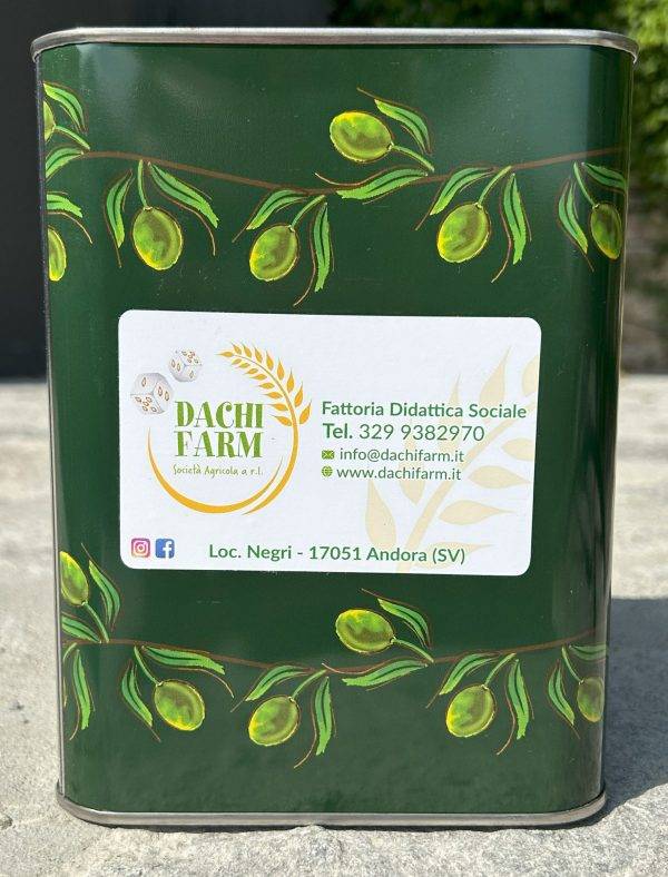Olio extravergine di oliva taggiasca 2 lt